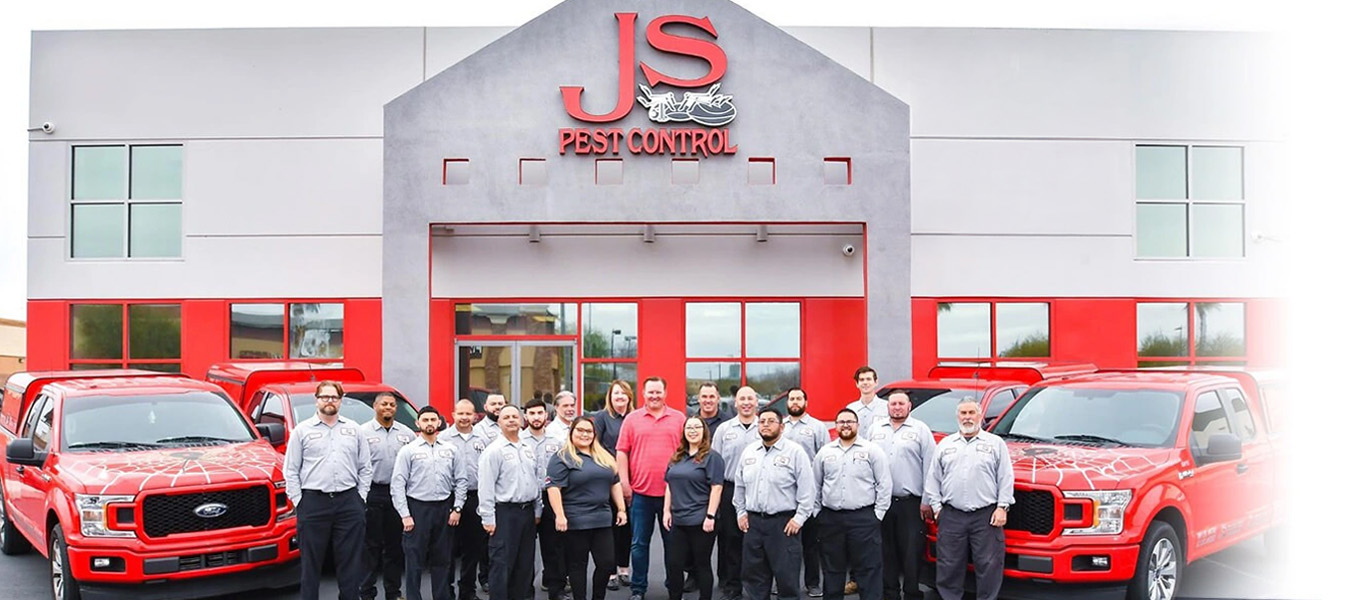 Las Vegas home ready for sale