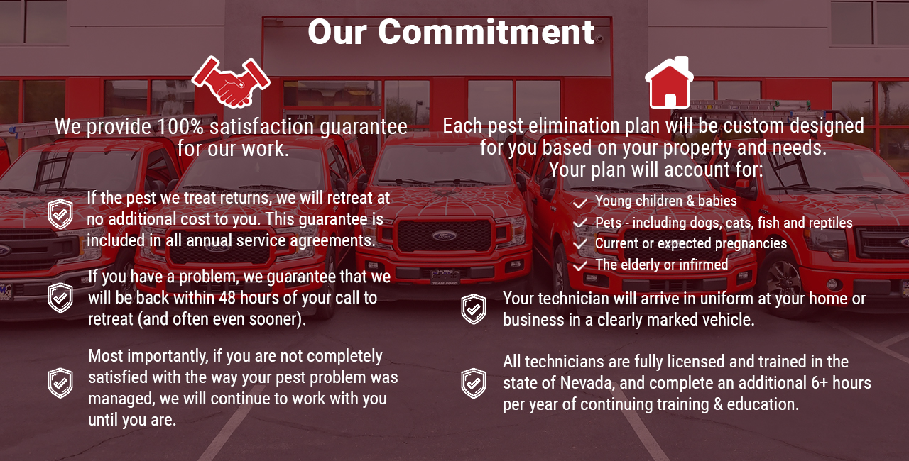 JS Pest Control team commitment