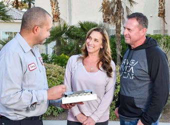 Weed-free lawn and landscape